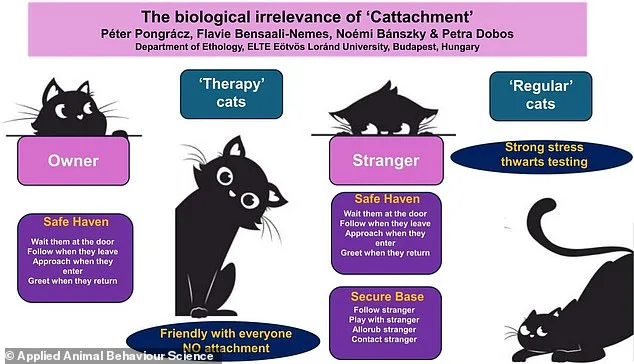Cats More Emotionally Independent Than Dogs, Study Suggests