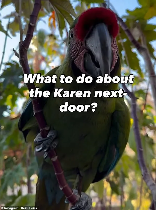 Macaw Mayhem: Heidi Fleiss's Noisy Birds Clash With Chicken-Raising Neighbor in Las Vegas Dispute