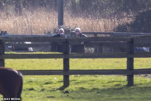 Andrew Mountbatten-Windsor Defies Controversy with Horse Inspection at Norfolk Estate Amid Alleged Misconduct Probe