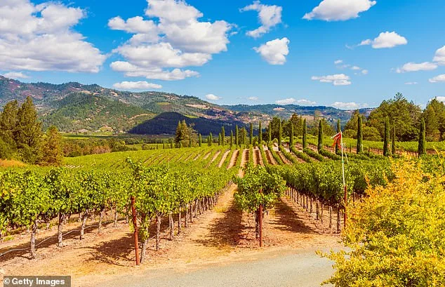 Lindsay Hoopes' Winery Fined $4M Over Permit Dispute in Landmark Napa Valley Ruling