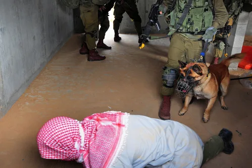 Israel confirms deportation of activists detained after aid flotilla interception.