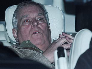 New files reveal Queen pushed for Andrew Mountbatten-Windsor's controversial trade role.