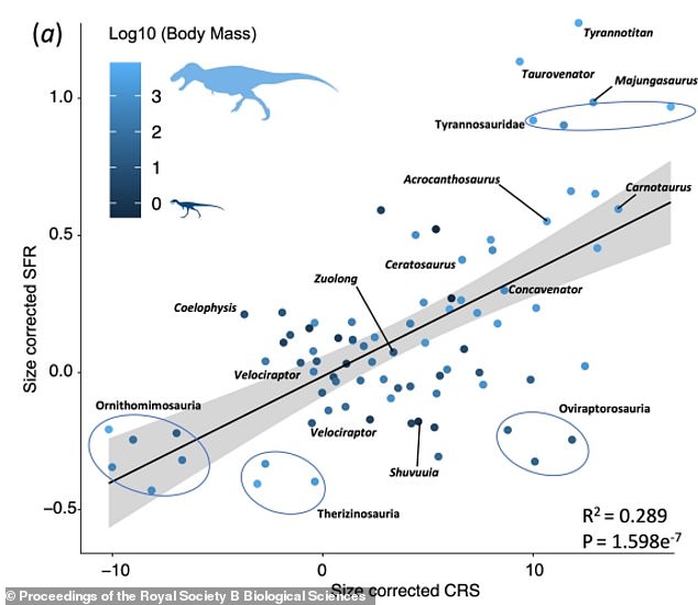 New Study Explains Why T-Rex Evolved Tiny Arms