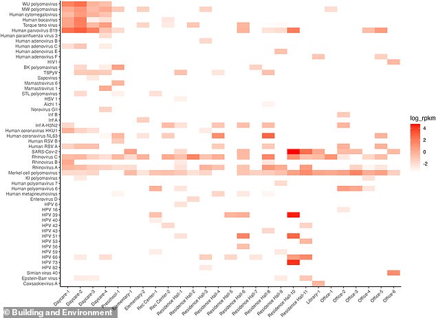 Office dust hides 54 viruses including SARS-CoV-2 and influenza.