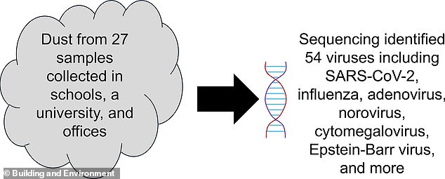 Office dust hides 54 viruses including SARS-CoV-2 and influenza.