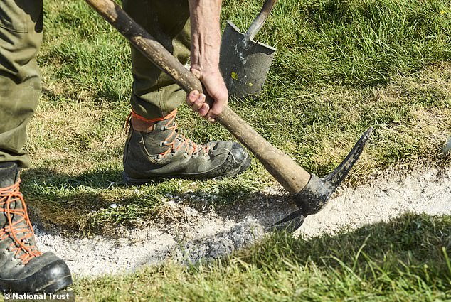 National Trust volunteers restore 180-foot Cerne Abbas Giant with fresh chalk.