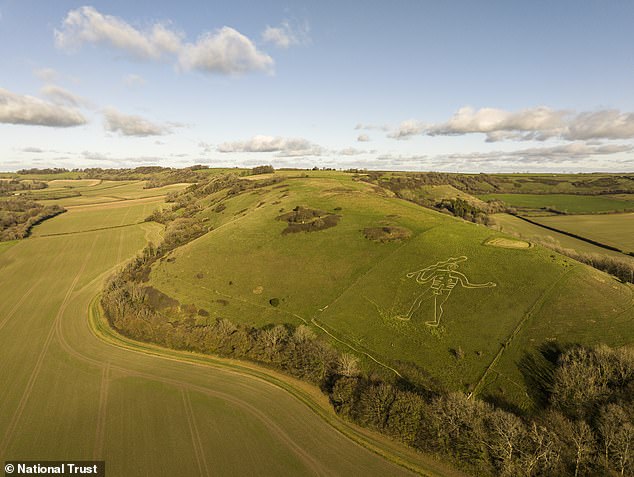 National Trust volunteers restore 180-foot Cerne Abbas Giant with fresh chalk.