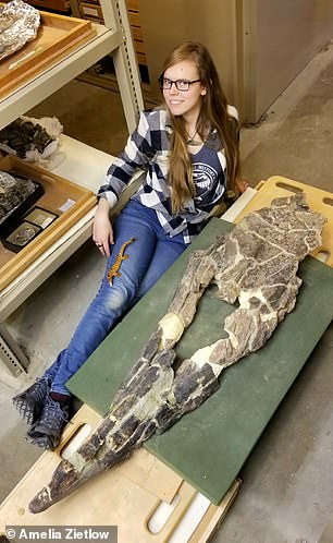 43-foot Tylosaurus rex named largest mosasaur, rivaling T. rex
